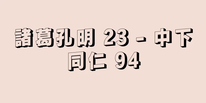諸葛孔明 23 - 中下同仁 94