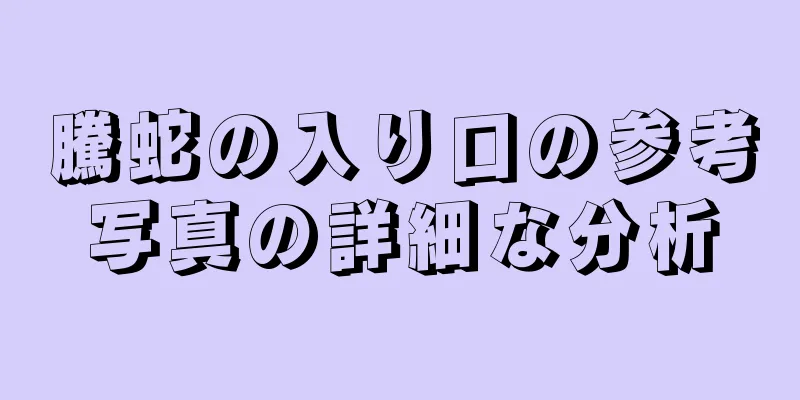 騰蛇の入り口の参考写真の詳細な分析