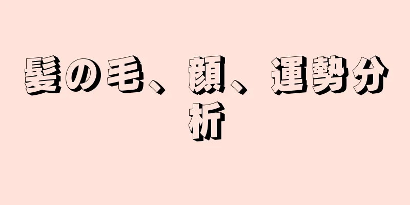 髪の毛、顔、運勢分析