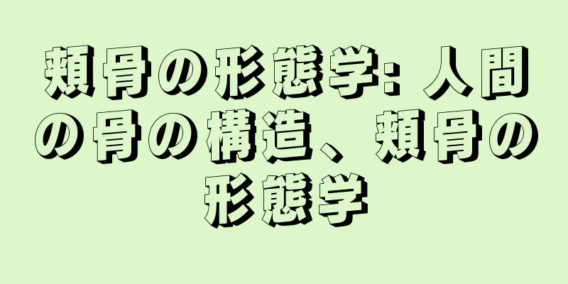 頬骨の形態学: 人間の骨の構造、頬骨の形態学