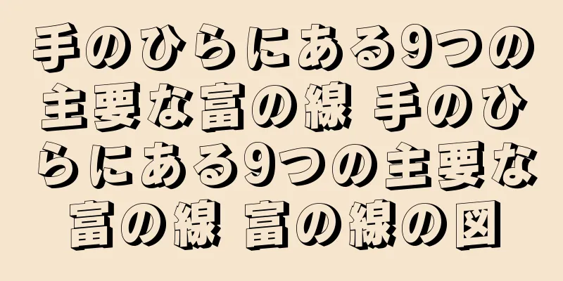 手のひらにある9つの主要な富の線 手のひらにある9つの主要な富の線 富の線の図