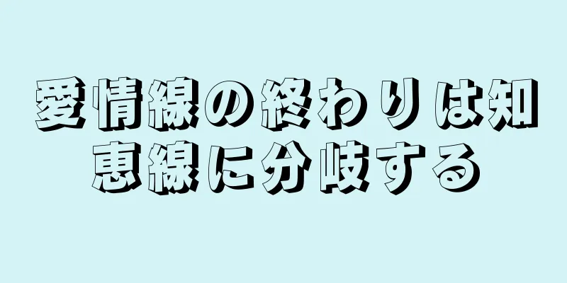 愛情線の終わりは知恵線に分岐する