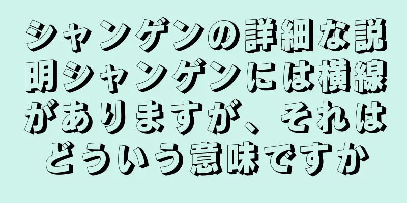 シャンゲンの詳細な説明シャンゲンには横線がありますが、それはどういう意味ですか