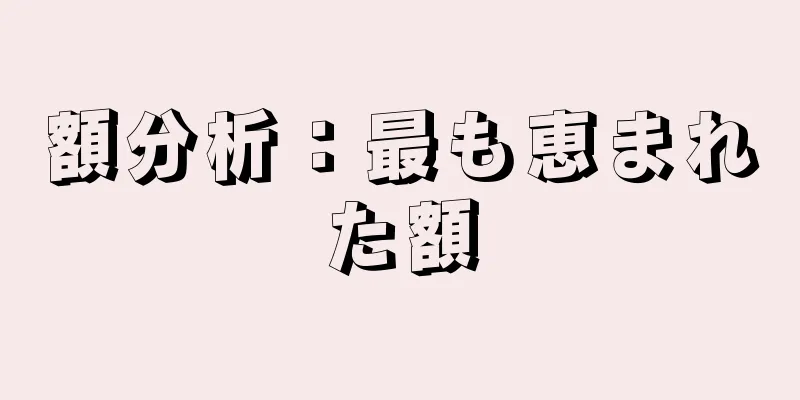 額分析：最も恵まれた額