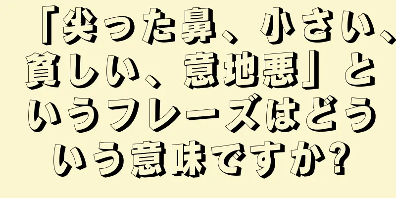 「尖った鼻、小さい、貧しい、意地悪」というフレーズはどういう意味ですか?