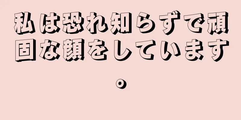 私は恐れ知らずで頑固な顔をしています。