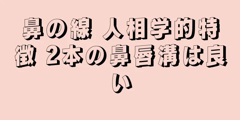 鼻の線 人相学的特徴 2本の鼻唇溝は良い