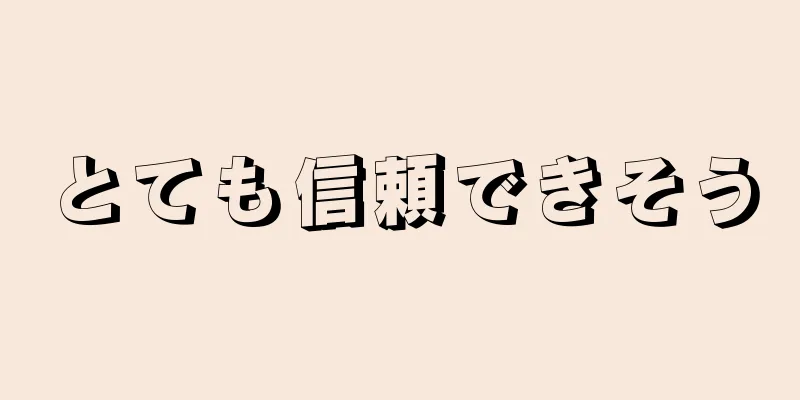 とても信頼できそう