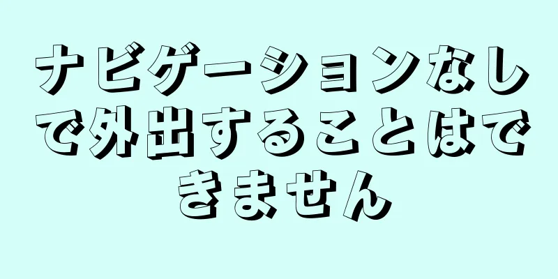 ナビゲーションなしで外出することはできません