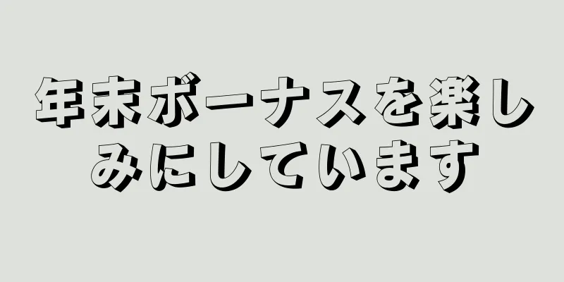 年末ボーナスを楽しみにしています