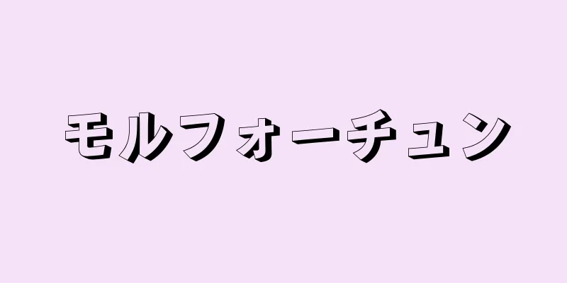 モルフォーチュン