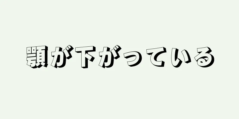 顎が下がっている
