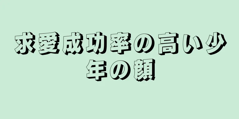 求愛成功率の高い少年の顔