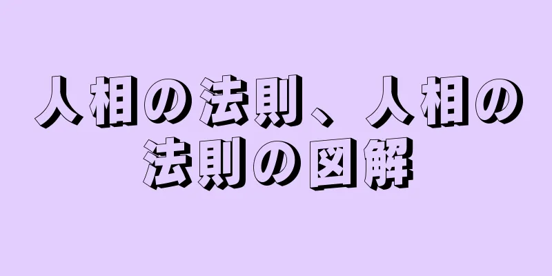 人相の法則、人相の法則の図解