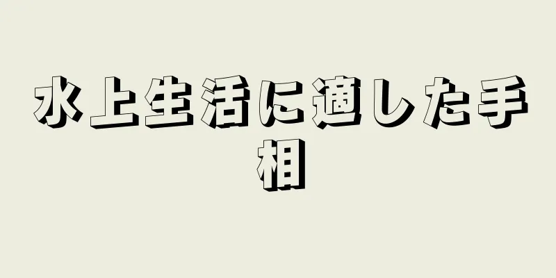 水上生活に適した手相