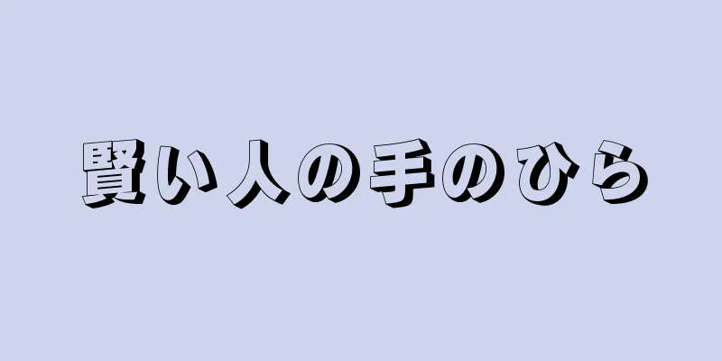賢い人の手のひら