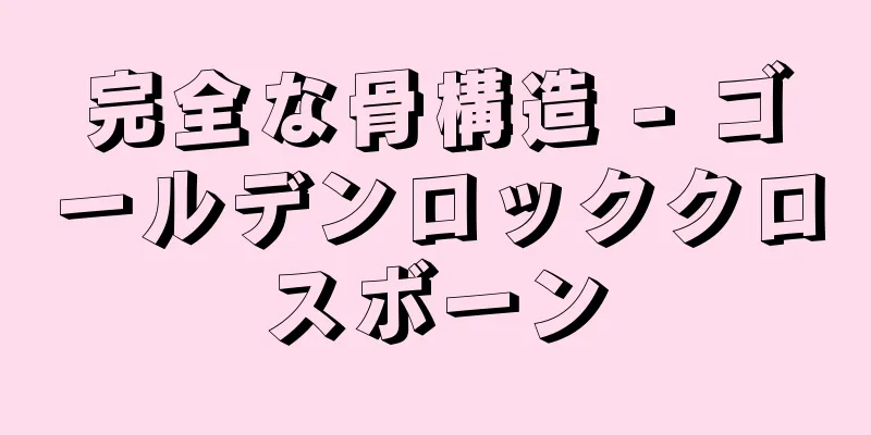 完全な骨構造 - ゴールデンロッククロスボーン