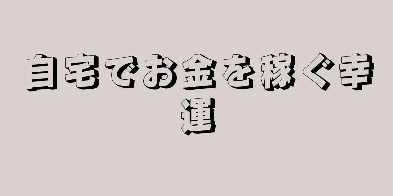 自宅でお金を稼ぐ幸運