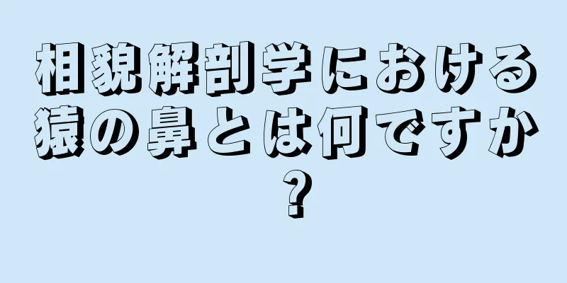 相貌解剖学における猿の鼻とは何ですか？