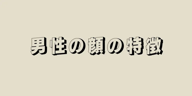 男性の顔の特徴