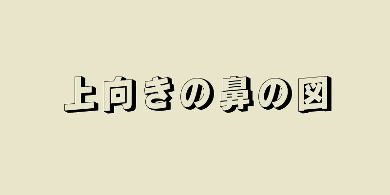 上向きの鼻の図
