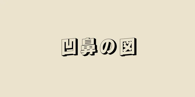 凹鼻の図