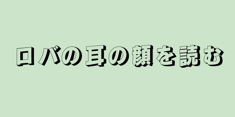 ロバの耳の顔を読む