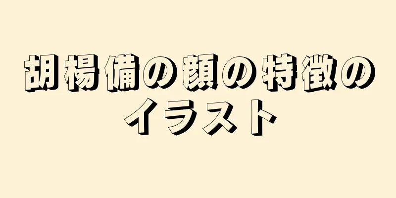 胡楊備の顔の特徴のイラスト