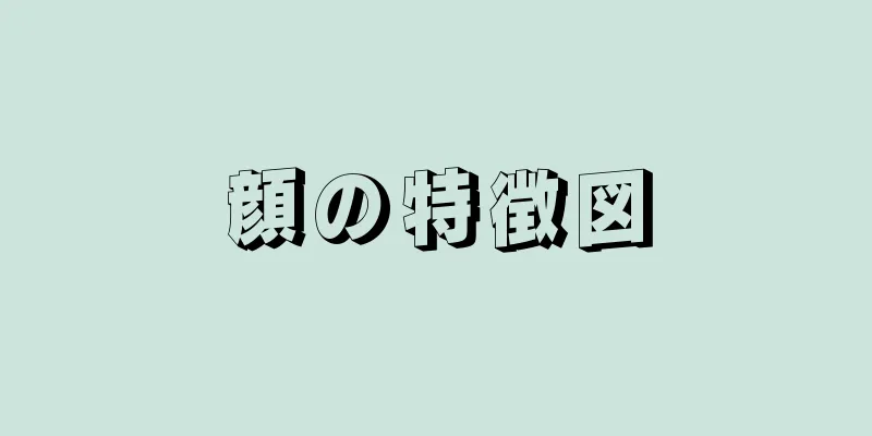 顔の特徴図