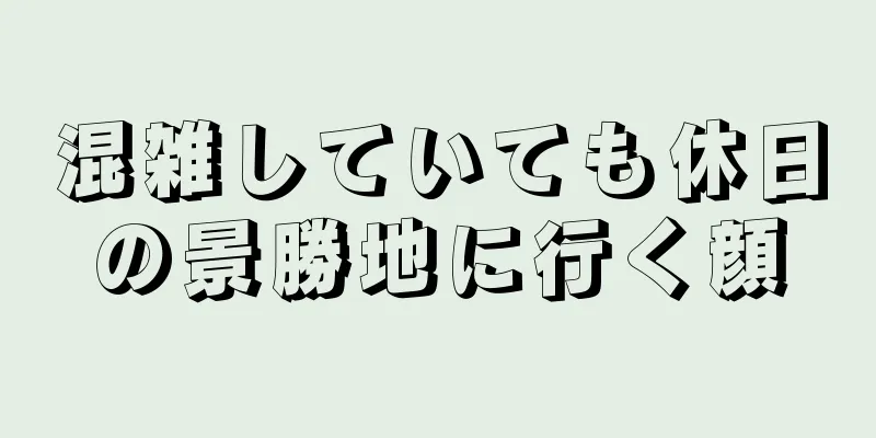 混雑していても休日の景勝地に行く顔