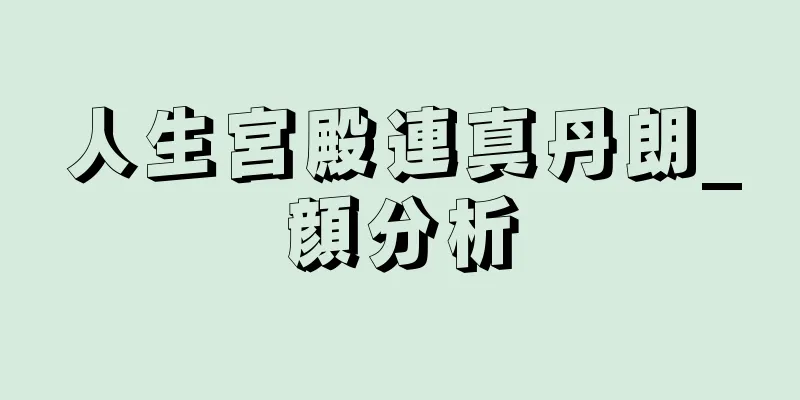 人生宮殿連真丹朗_顔分析