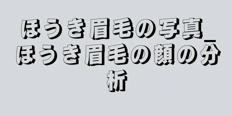 ほうき眉毛の写真_ほうき眉毛の顔の分析