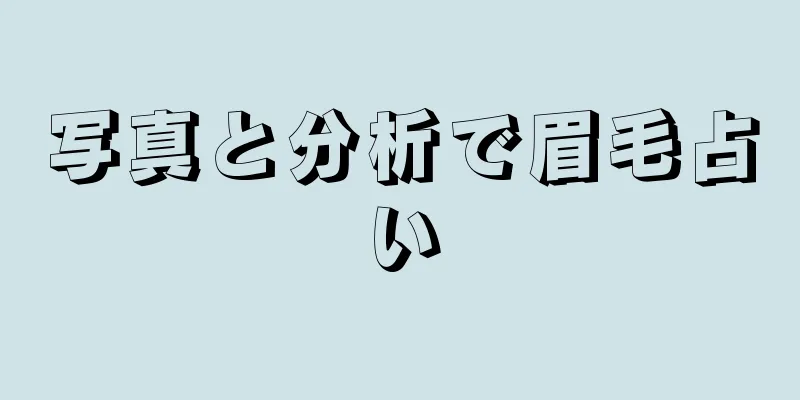 写真と分析で眉毛占い